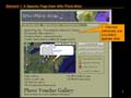 Slide5