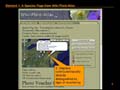 Slide6