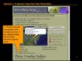 Slide7