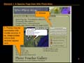 Slide8